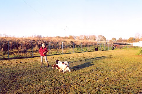 Long Meadow Pet Resort