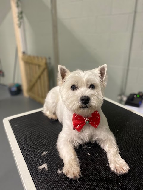 Bespoke Dog Grooming