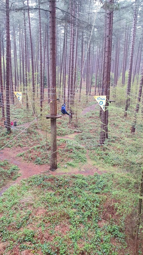 Go Ape Sherwood - Nets Adventure