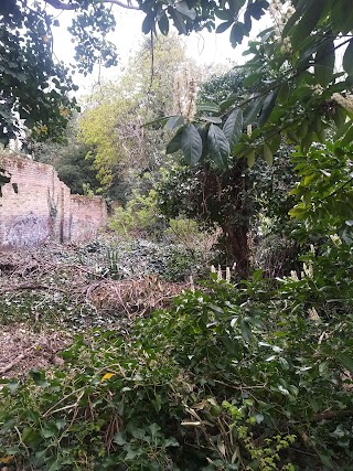 Finchley Way Open Space