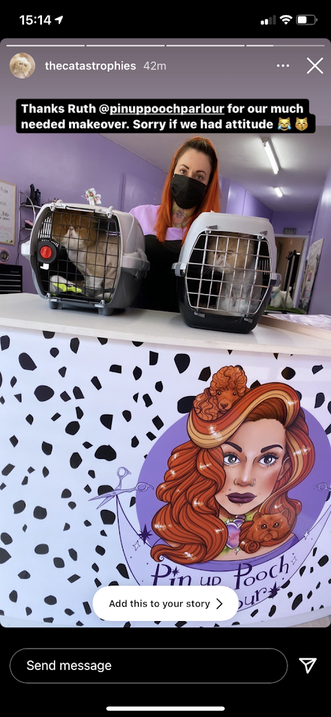 Pin up Pooch Parlour