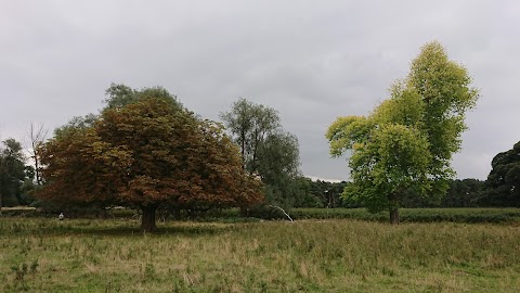 Normanby Hall