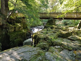 Tollymore Forest Park