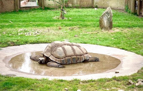 Blackpool Zoo