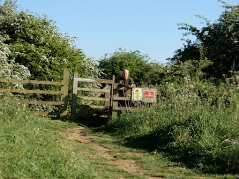 Hills And Hollows