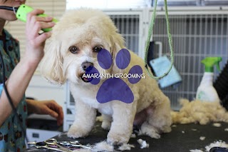 Amaranth Dog Grooming