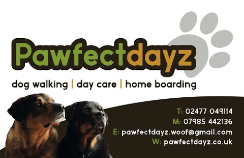 Pawfectdayz