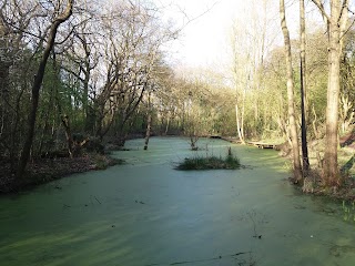 Oakwood Gate Park