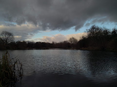 Wilford Meadow - Wildlife Area