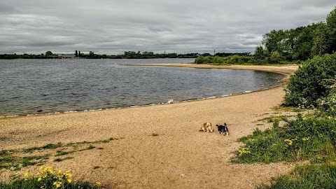 Chasewater Country Park - Staffordshire County Council