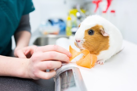 The Gatehouse Veterinary Centre