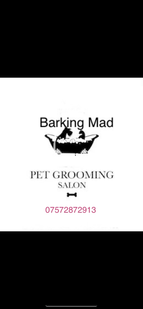 Barking mad dog groomers