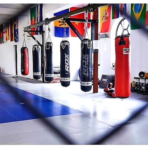 Franks Team Sports Club - MMA - BOXING - BJJ - Fitness