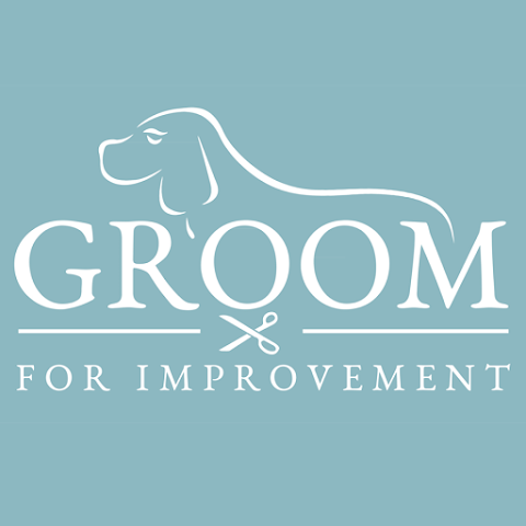 Groom for Improvement