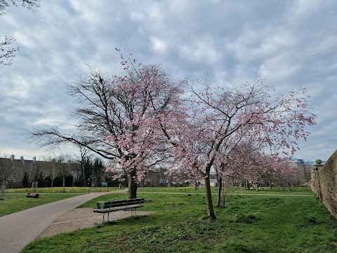 Saughton Park