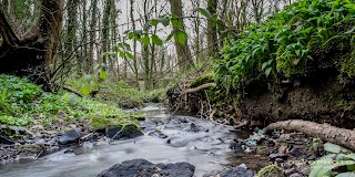 Delph Waterfall And Nature Trail