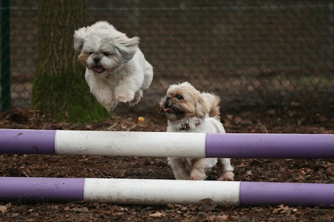 Chetwynd Firs Boarding Kennels & Cattery