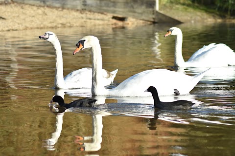 Southwater Country Park