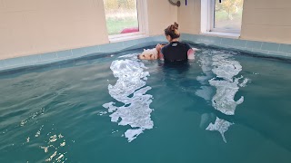Well Dogs Canine Hydrotherapy pool