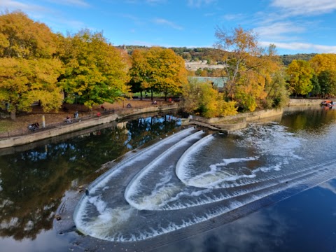 Pulteney Cruisers