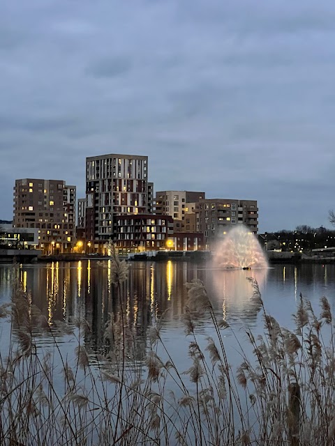 Lakeside Cafe - The Y on the Lake