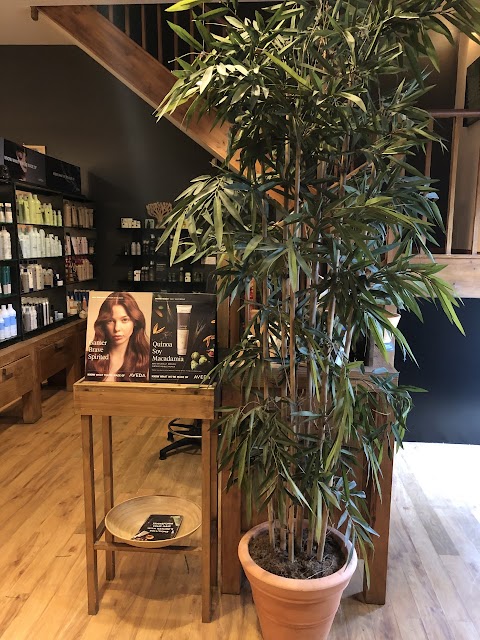 Joshua Tree Aveda Lifestyle Salon & Spa