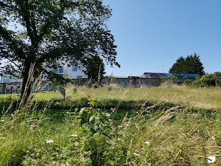 Saunders Park Edible Community Garden