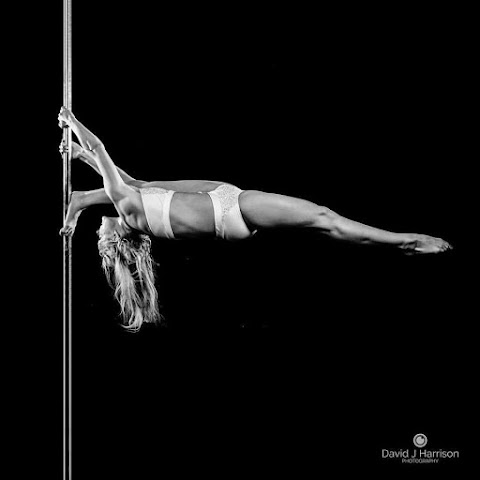 Body Synergy Pole Dancing at One Fitness Academy