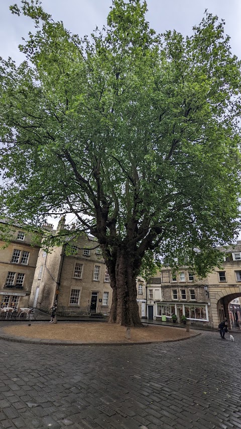 The Bath Pub Tour