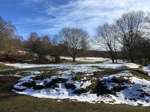 National Trust - Downs Banks