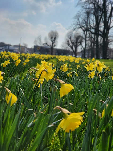 Figges Marsh