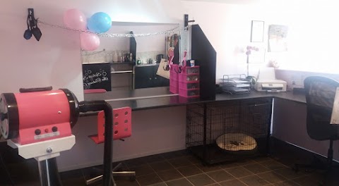 Lugs N Hugs Mobile Dog Grooming