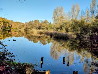 Baggeridge Country Park