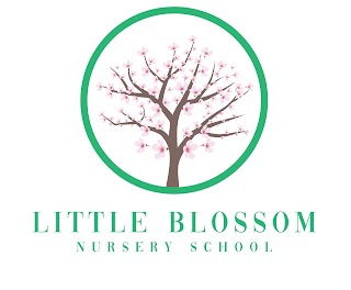 Little Blossom Nursery School