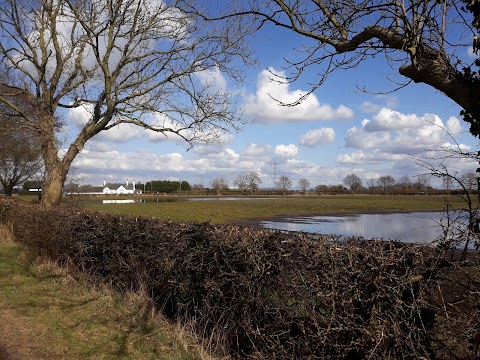 Reed House Kennels