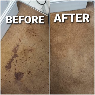 SW Carpet Cleaning