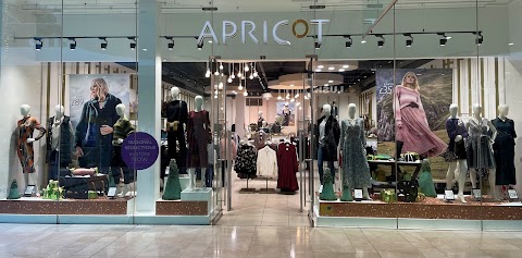 Apricot Clothing - Derby