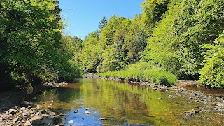 Linn Park Waterfall