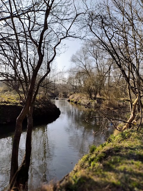 Dearne Valley Country Park