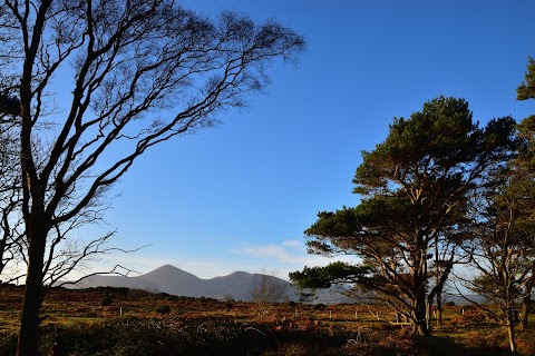 National Trust - Murlough National Nature Reserve