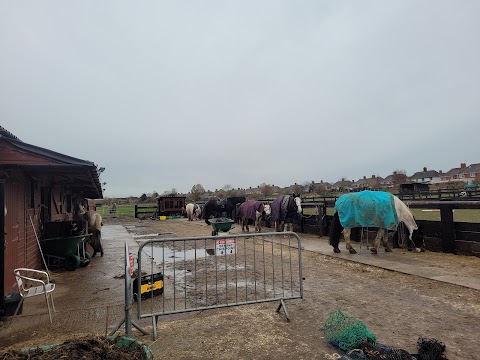 Sherwood Forest Trekking Centre