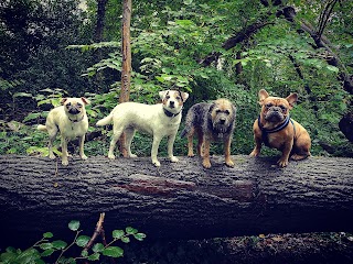 leaderofthepack.wales