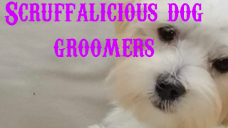 Scruffalicious Dog Groomers