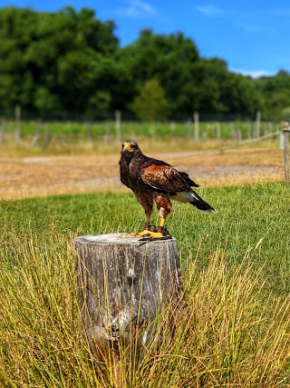 UK Owl and Raptor Centre