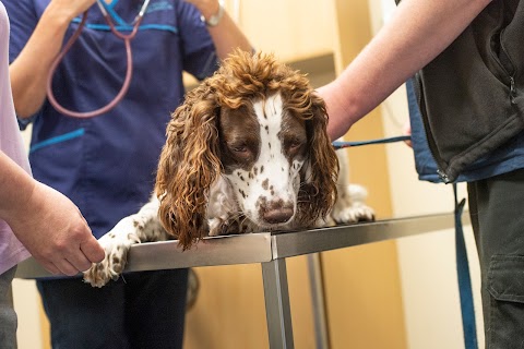 Fenaghy Veterinary Clinic