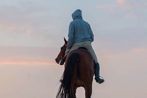 Hamsey Riding School