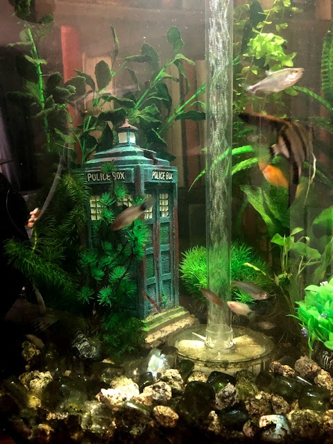 Beacon Pet Aquarium