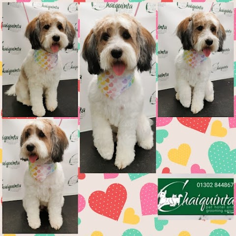 Chaiquinta Pet Hotel and Grooming Salon