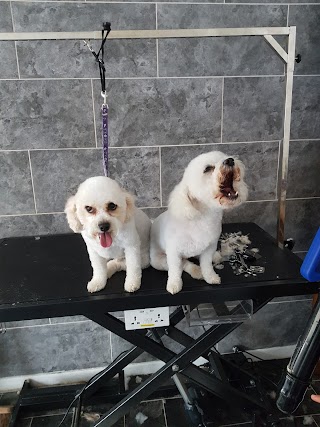 VICKYS GROOMING HUDDERSFIELD