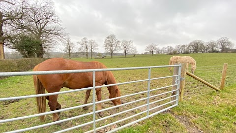 Sylvia Avenue Open Space